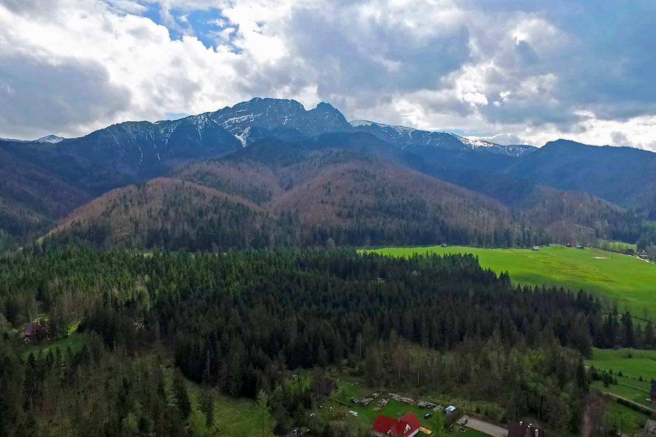 Hotel Nalecz City Center Zakopane Eksteriør bilde